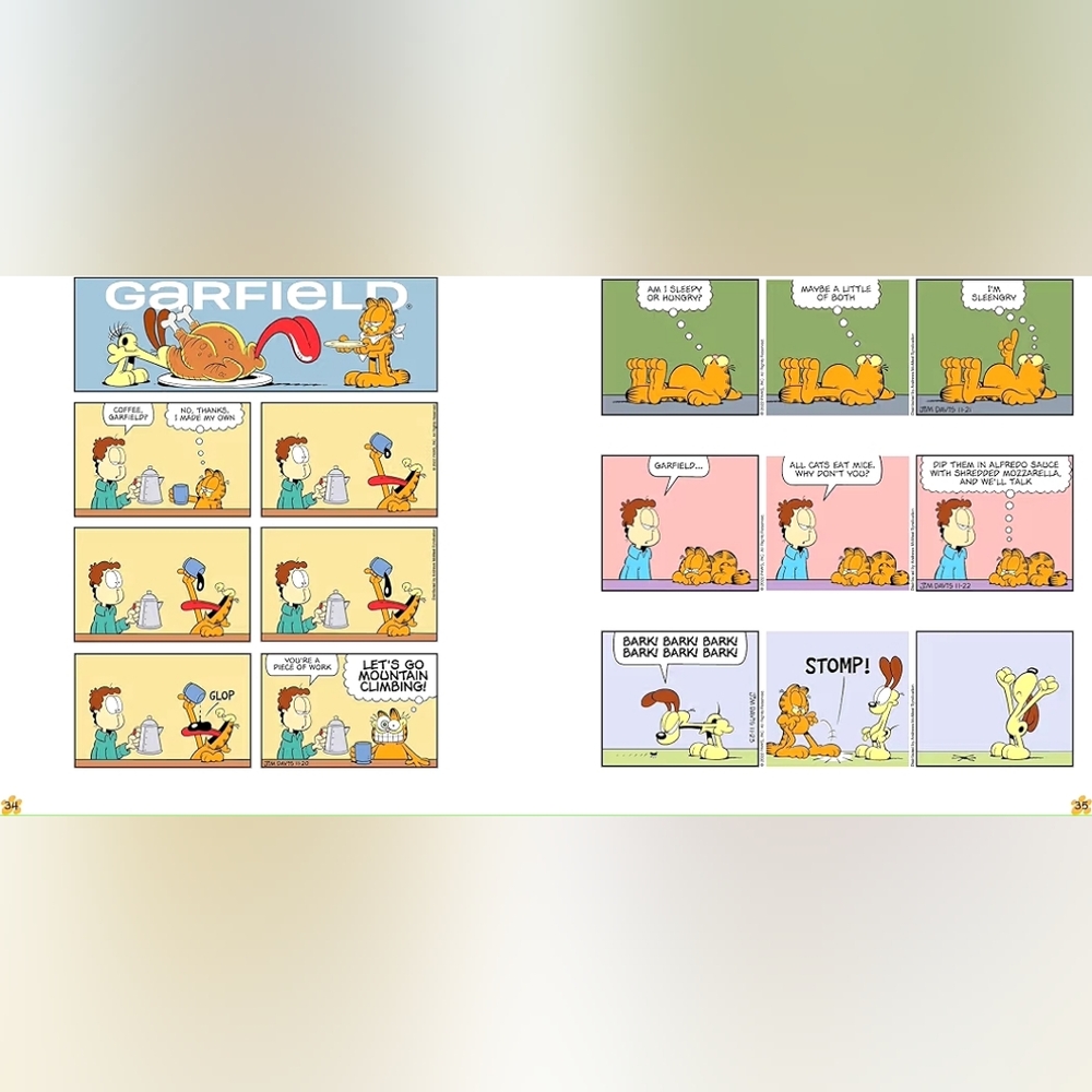 Garfield 'Bacon Me Drool' Coffee Table Book - Multicolor - Picture 10 of 11